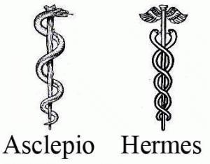 Fisioterapia Italia Esculapio Hermes